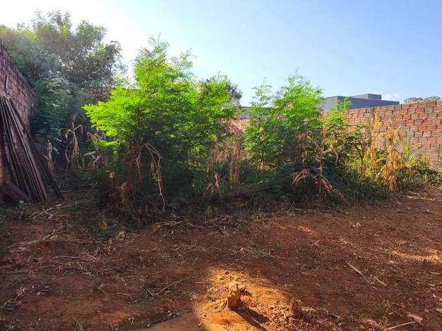 Terreno venda em Região Geográfica Imediata de Palmas, Palmas