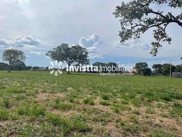 Terreno venda em Região Geográfica Imediata de Palmas, Palmas