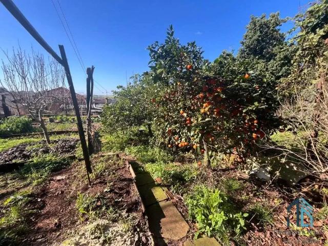 Terreno venda em Palmeira, Região Sul