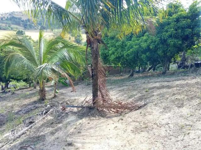 Terreno venda em Palmeira dos Índios, Região Nordeste