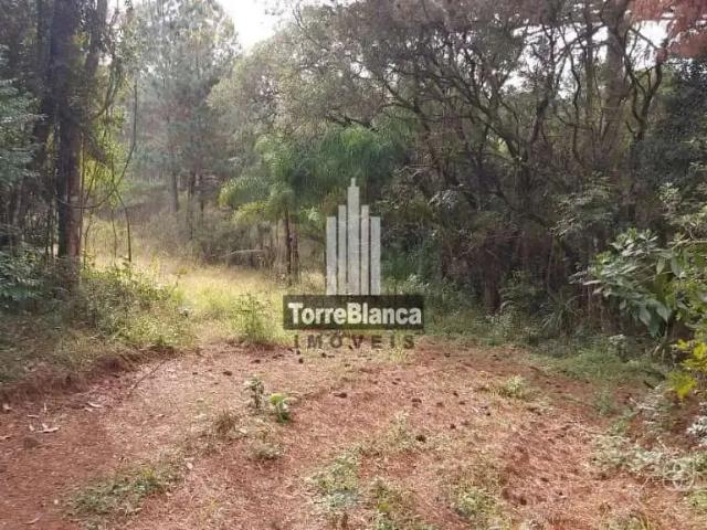 Terreno venda em Região Geográfica Imediata de Ponta Grossa, Palmeira