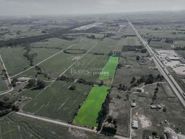 Terreno venda em Região Geográfica Imediata de Ponta Grossa, Palmeira