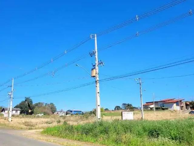 Terreno venda em Região Geográfica Imediata de Ponta Grossa, Palmeira
