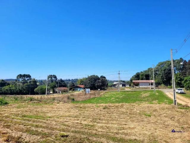 Terreno venda em Região Geográfica Imediata de Ponta Grossa, Palmeira