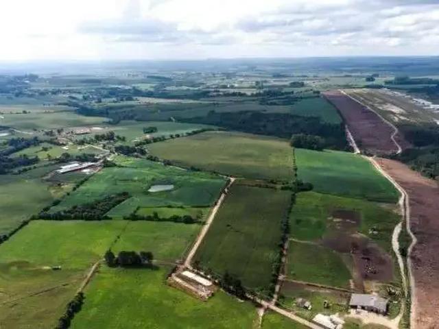 Terreno venda em Região Geográfica Imediata de Ponta Grossa, Palmeira