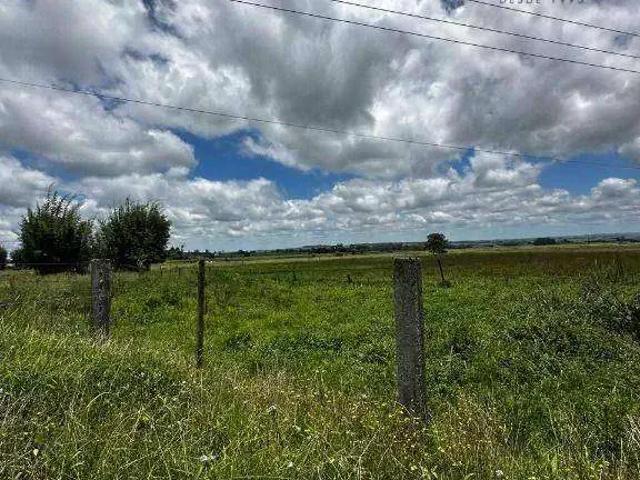 Terreno venda em Região Geográfica Imediata de Ponta Grossa, Palmeira