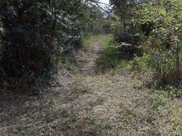 Terreno venda em Região Geográfica Imediata de Seabra, Palmeiras