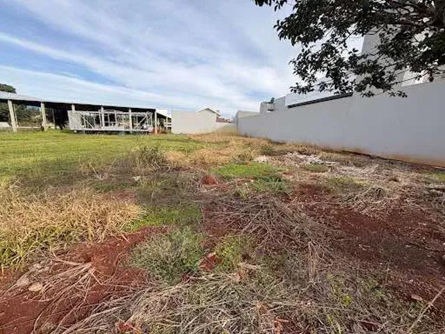 Terreno venda em Região Geográfica Imediata de Toledo, Palotina