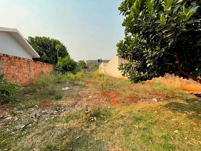 Terreno venda em Região Geográfica Imediata de Toledo, Palotina