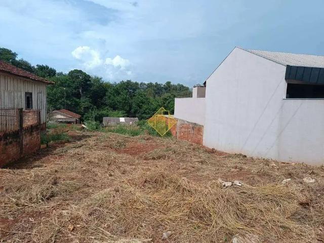 Terreno venda em Região Geográfica Imediata de Toledo, Palotina