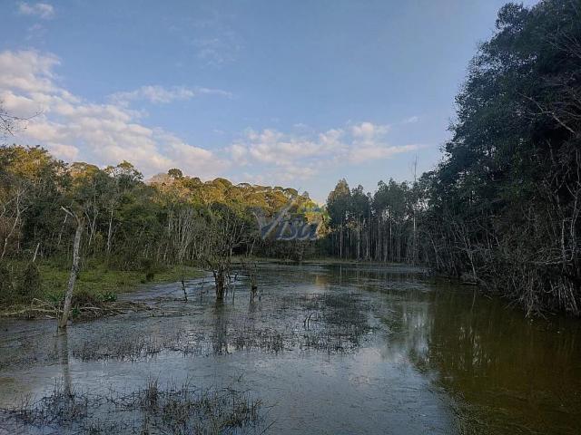 Terreno venda em Tolachinski, Papanduva