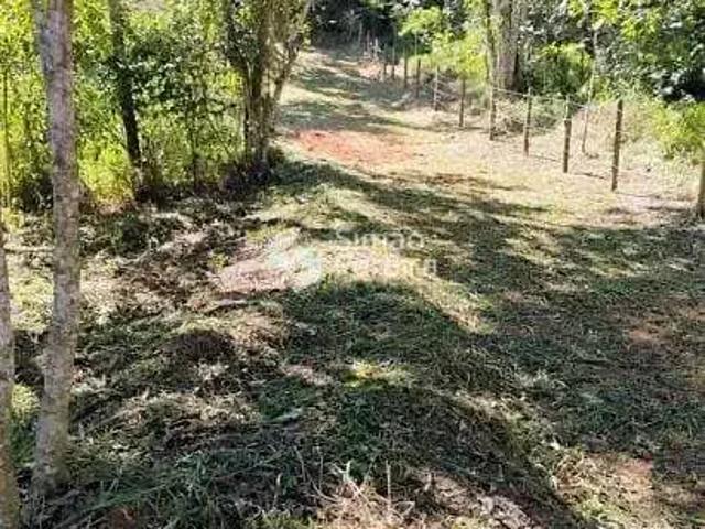 Terreno venda em Região Geográfica Imediata de Três Rios-Paraíba do Sul, Paraíba do Sul