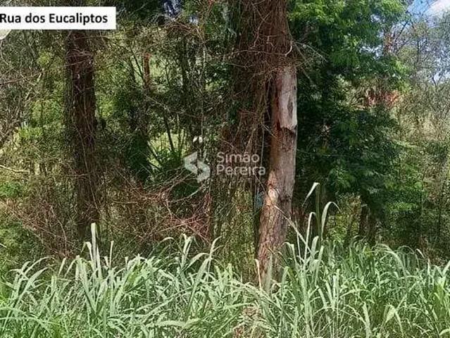 Terreno venda em Região Geográfica Imediata de Três Rios-Paraíba do Sul, Paraíba do Sul