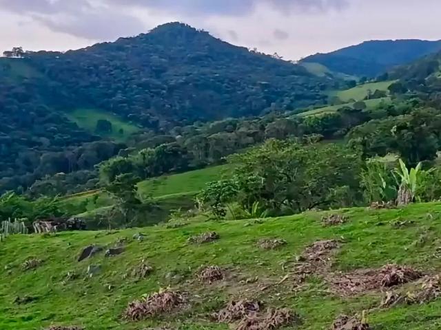 Terreno venda em Região Geográfica Imediata de Itajubá, Paraisópolis