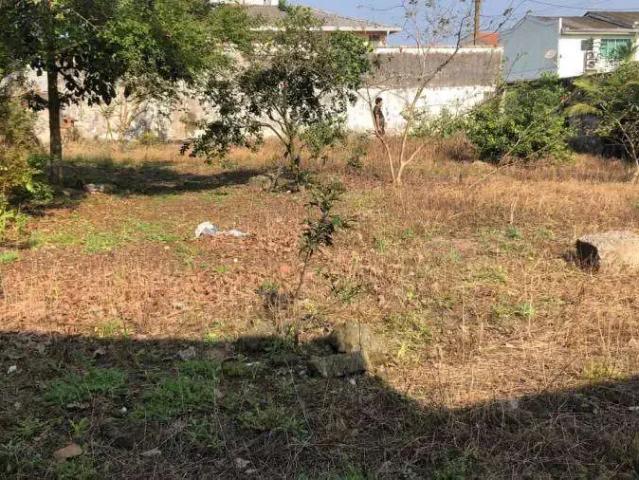 Terreno venda em Região Geográfica Imediata de Paranaguá, Paranaguá