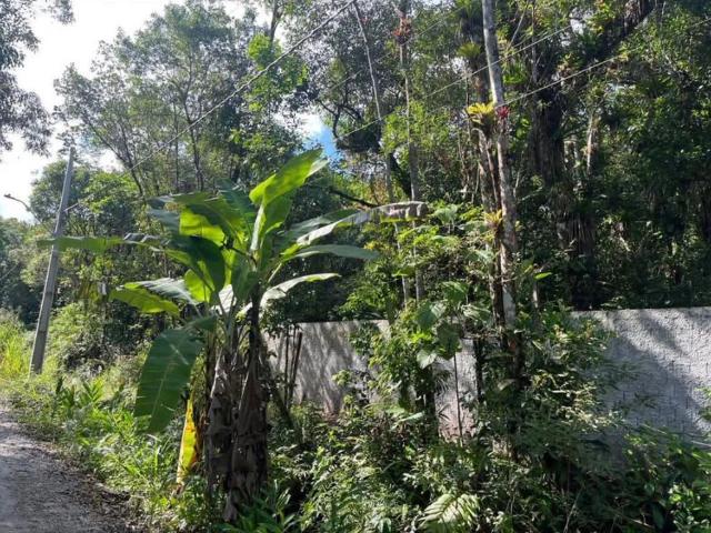 Terreno venda em Paranaguá, Região Geográfica Intermediária de Curitiba