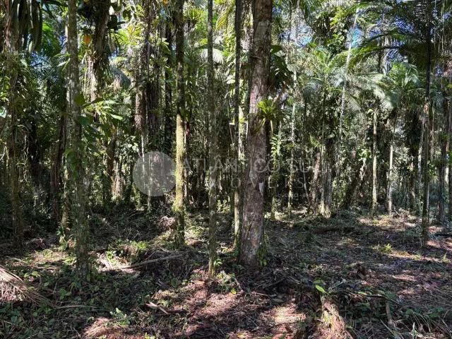Terreno venda em Região Geográfica Imediata de Paranaguá, Paranaguá