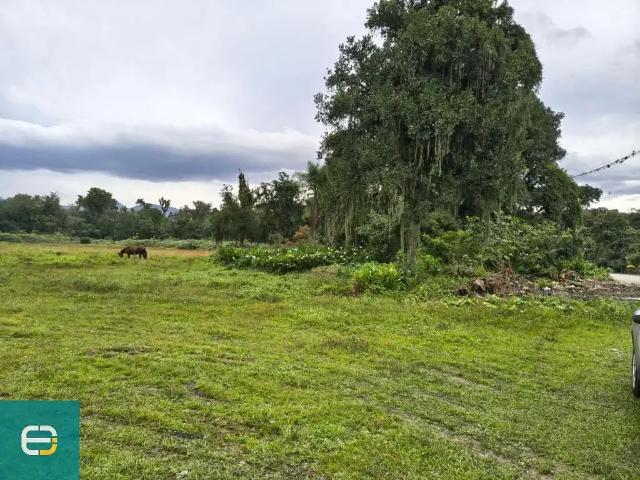 Terreno venda em Região Geográfica Imediata de Paranaguá, Paranaguá