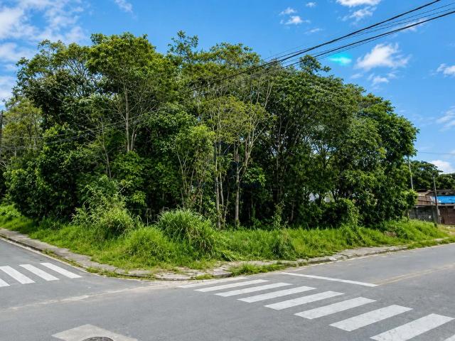 Terreno venda em Paranaguá, Região Geográfica Intermediária de Curitiba