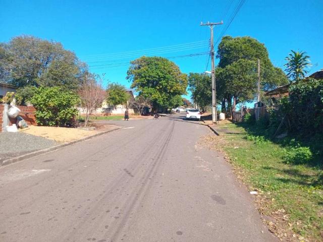 Terreno venda em Centro, Paranavaí