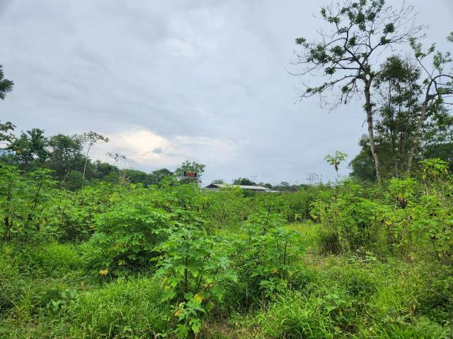 Terreno venda em Paraty