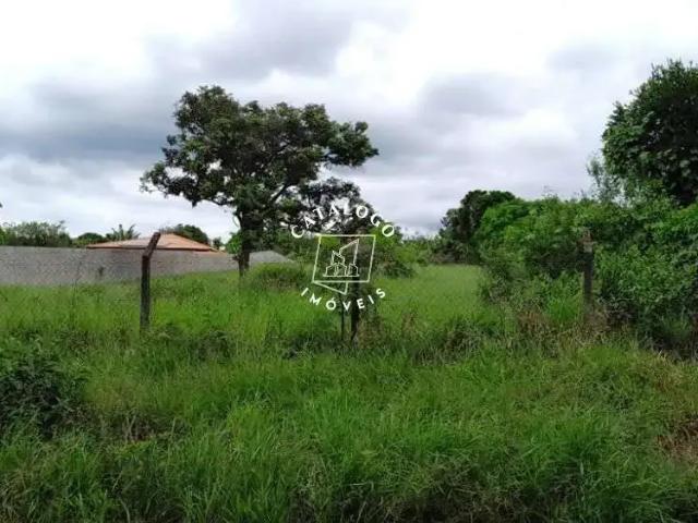Terreno venda em Pardinho