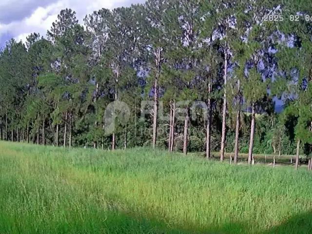 Terreno venda em Pardinho