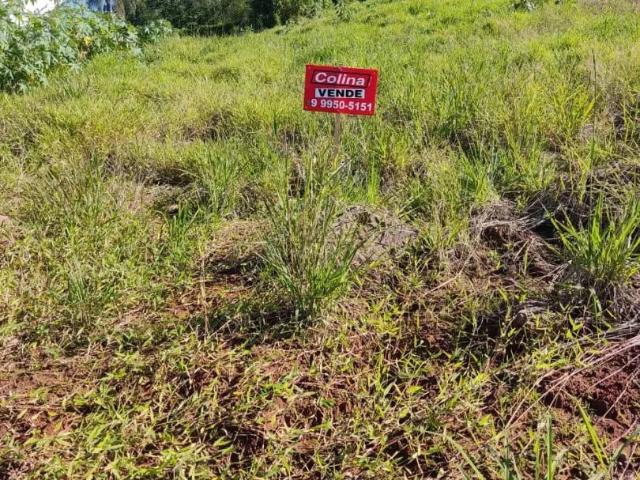 Terreno venda em Pareci Novo, Região Geográfica Intermediária de Porto Alegre