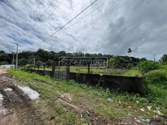 Terreno venda em Paripueira