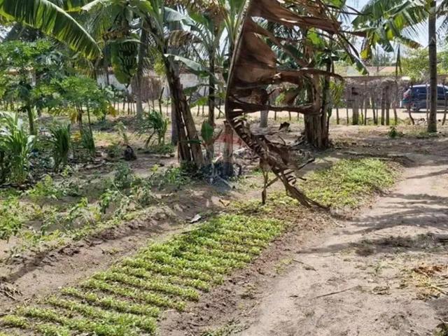 Terreno venda em Região Geográfica Imediata de Natal, Macaíba