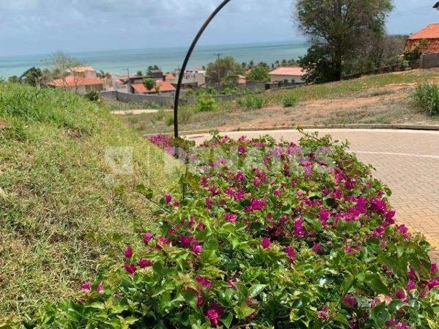 Terreno venda em Parnamirim