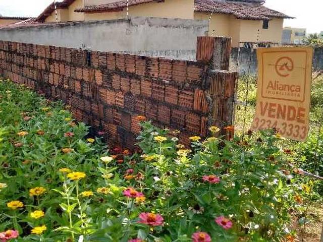 Terreno venda em Nova Crixás, Região Geográfica Intermediária de Goiânia