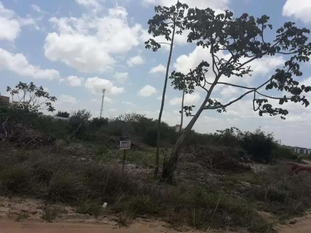 Terreno venda em Região Geográfica Imediata de Natal, Parnamirim
