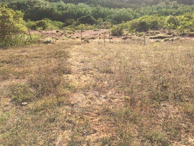 Terreno venda em Região Geográfica Imediata de Natal, Parnamirim