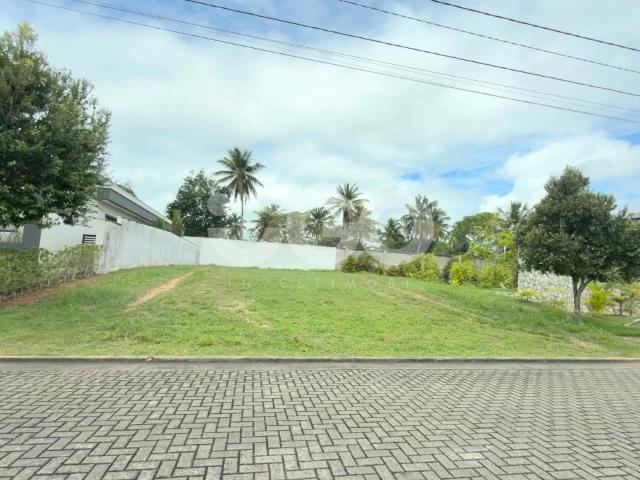 Terreno venda em Parnamirim