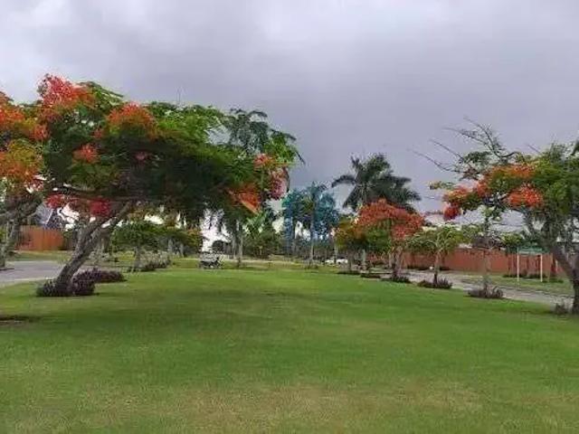 Terreno venda em Região Geográfica Imediata de Natal, Parnamirim