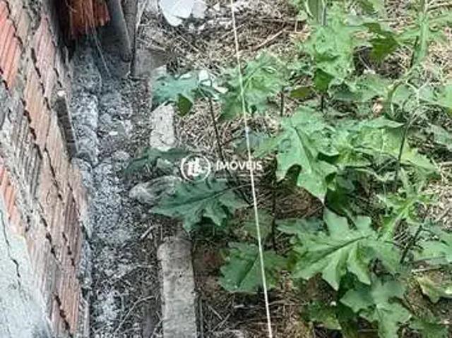 Terreno venda em Região Geográfica Imediata de Natal, Parnamirim