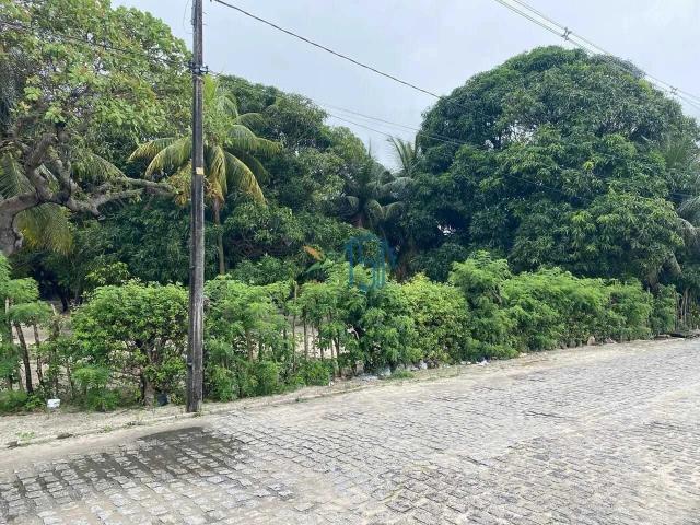 Terreno venda em Parnamirim