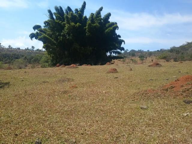 Terreno venda em Região Geográfica Imediata de Oliveira, Passa Tempo