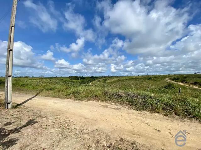 Terreno venda em Região Geográfica Imediata de Porto Calvo-São Luís do Quitunde, Passo de Camaragibe