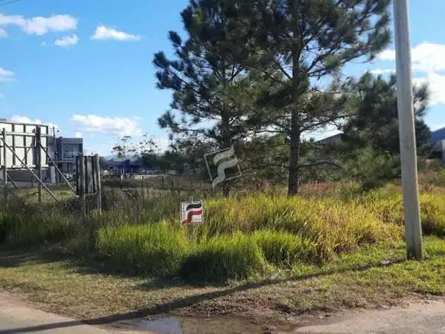 Terreno venda em Região Geográfica Imediata de Araranguá, Passo de Torres
