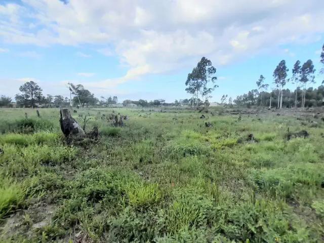 Terreno venda em Região Geográfica Imediata de Araranguá, Passo de Torres