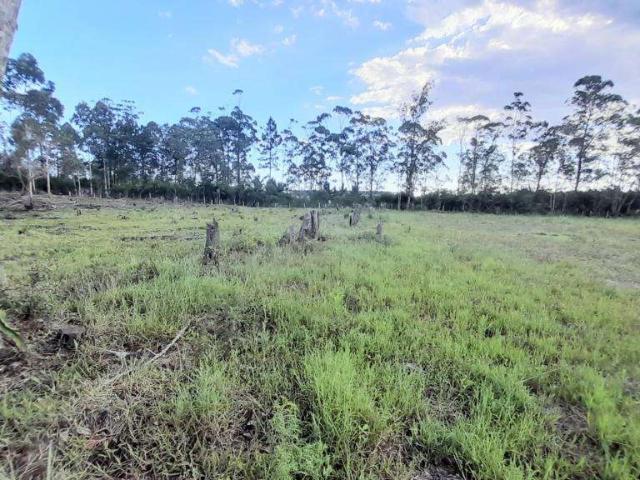 Terreno venda em Região Geográfica Imediata de Araranguá, Passo de Torres