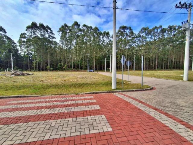 Terreno venda em Região Geográfica Imediata de Araranguá, Passo de Torres