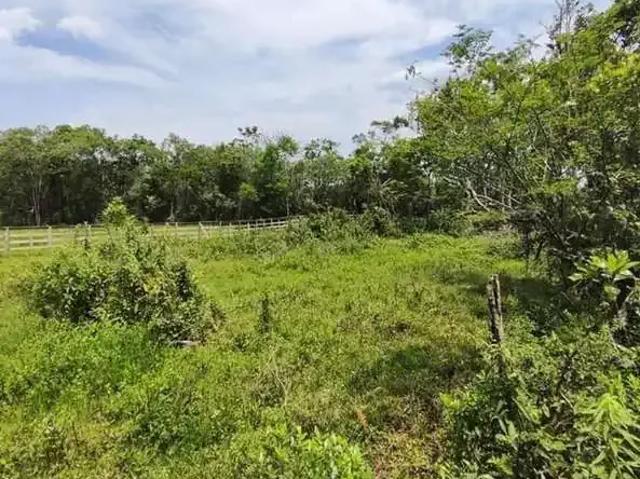 Terreno venda em Região Geográfica Imediata de Araranguá, Passo de Torres
