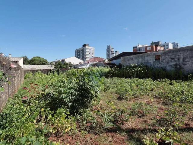 Terreno venda em Região Geográfica Imediata de Passo Fundo, Passo Fundo