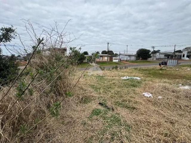 Terreno venda em Passo Fundo