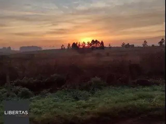 Terreno venda em Região Geográfica Imediata de Passo Fundo, Passo Fundo