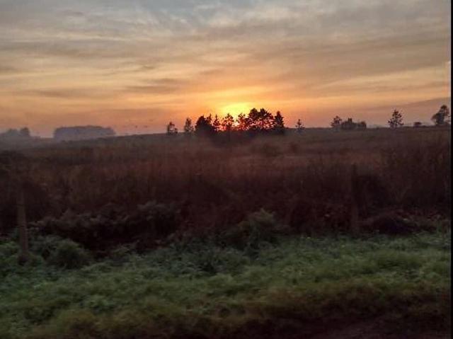 Terreno venda em Passo Fundo