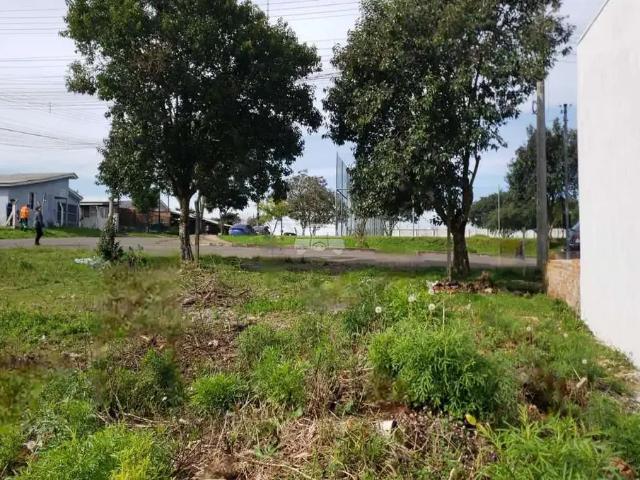 Terreno venda em Região Geográfica Imediata de Passo Fundo, Passo Fundo